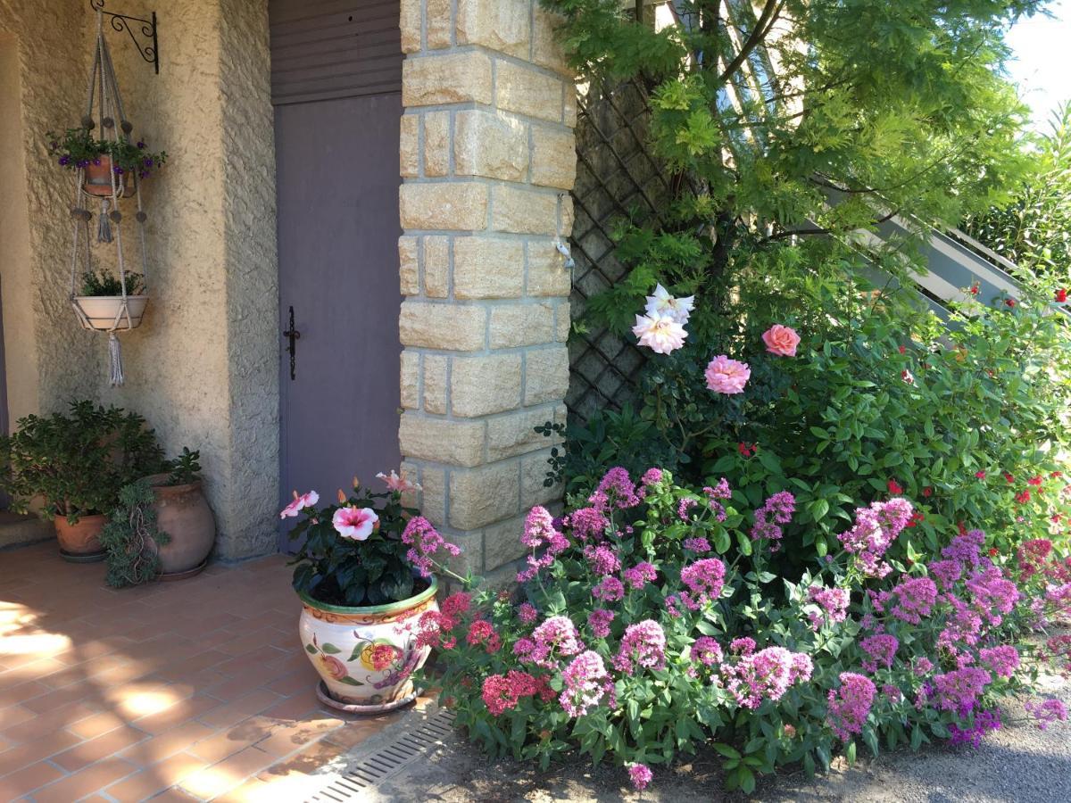 Soleil Lotus Daire Saint-Hilaire-de-Brethmas Dış mekan fotoğraf