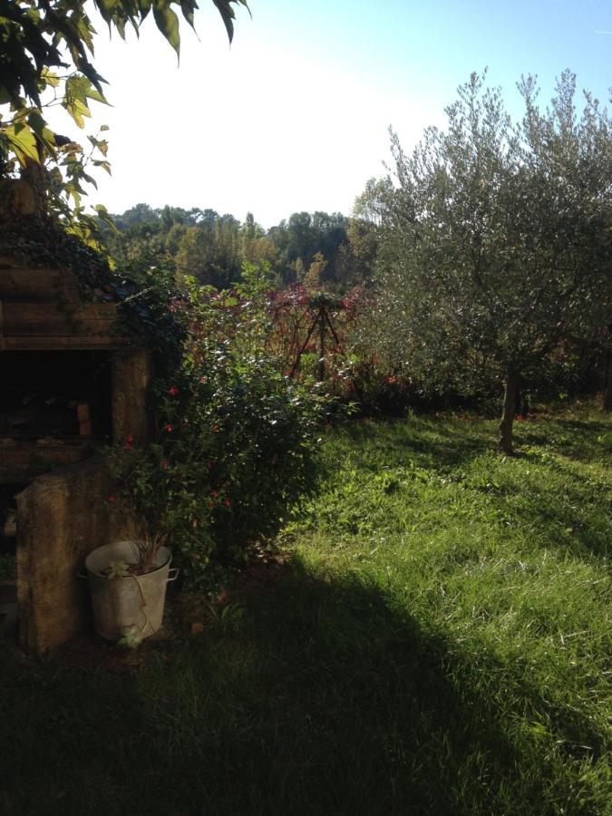 Soleil Lotus Daire Saint-Hilaire-de-Brethmas Dış mekan fotoğraf