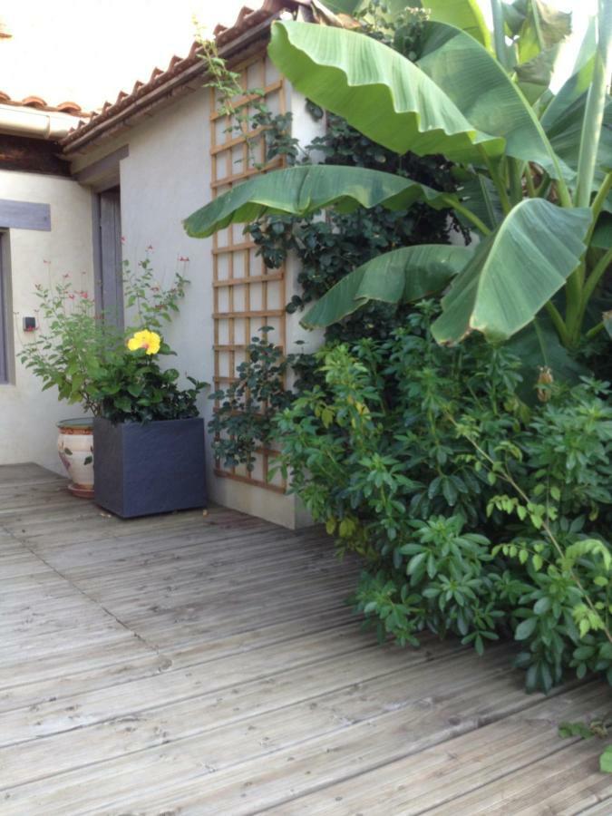 Soleil Lotus Daire Saint-Hilaire-de-Brethmas Dış mekan fotoğraf